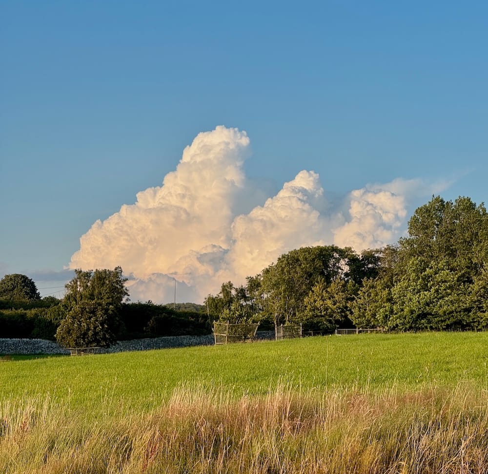 Vale of Glamorgan Weather